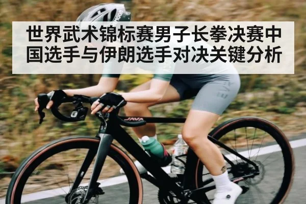 世界武术锦标赛男子长拳决赛中国选手与伊朗选手对决关键分析